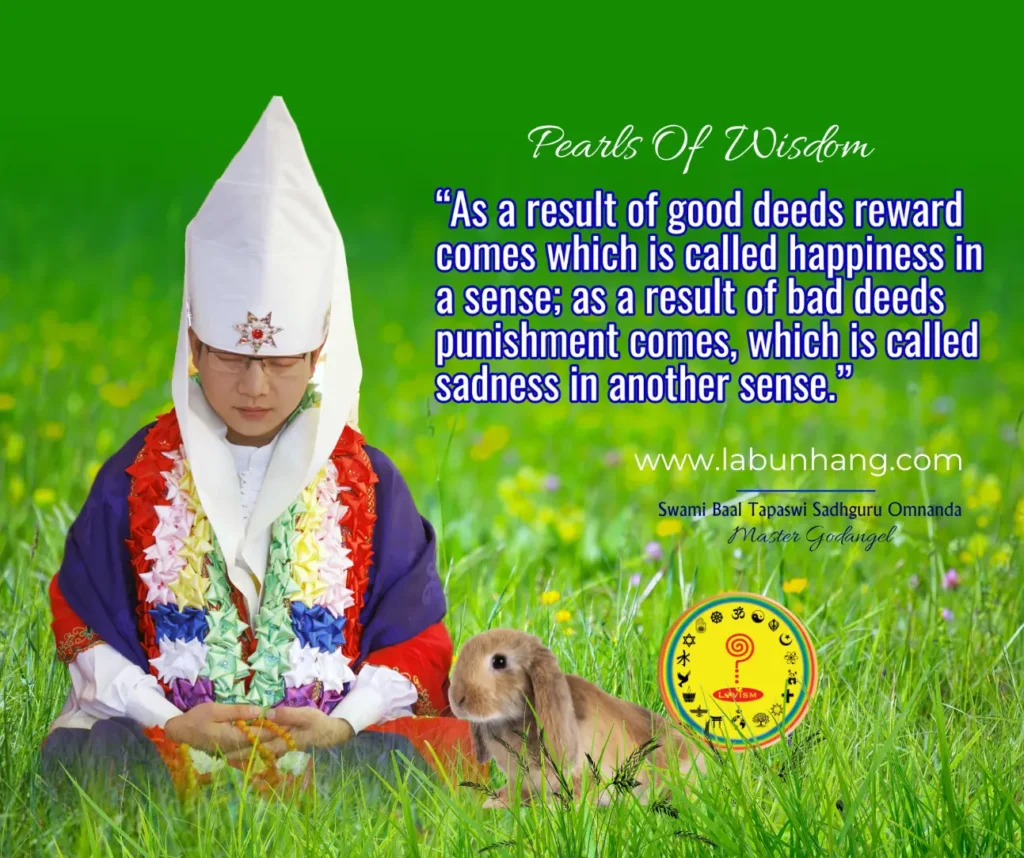 Master Godangel quotes on happiness and sadness - His Holiness Master Godangel meditates on a grassy field with a small rabbit beside him, accompanied by a quote on the consequences of good and bad deeds. The quote follows, 'As a result of good deeds, reward comes, which is called happiness in a sense; as a result of bad deeds, punishment comes, which is called sadness in another sense. 