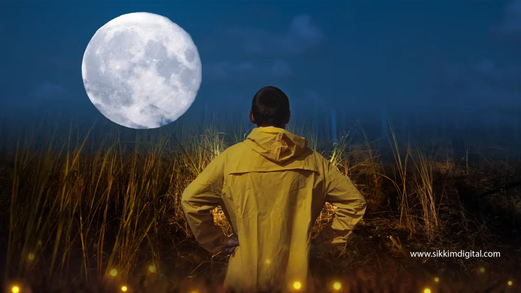 Person in a yellow raincoat standing in tall grass, gazing at a bright full moon in the night sky, symbolizing completeness, wisdom, and success, representing the auspicious dream of seeing a full moon in Eastern philosophy.