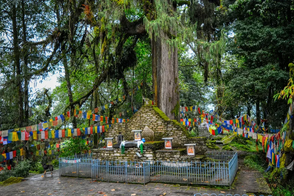 Norbugang Coronation Throne Yuksom - historic sacred site with prayer flags and ancient stone throne where first Chogyal was crowned in 1642