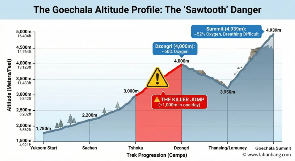 Goechala Trek Difficulty chart illustrating the steep altitude profile, highlighting the dangerous 1,000m gain from Tshoka to Dzongri as a major challenge.