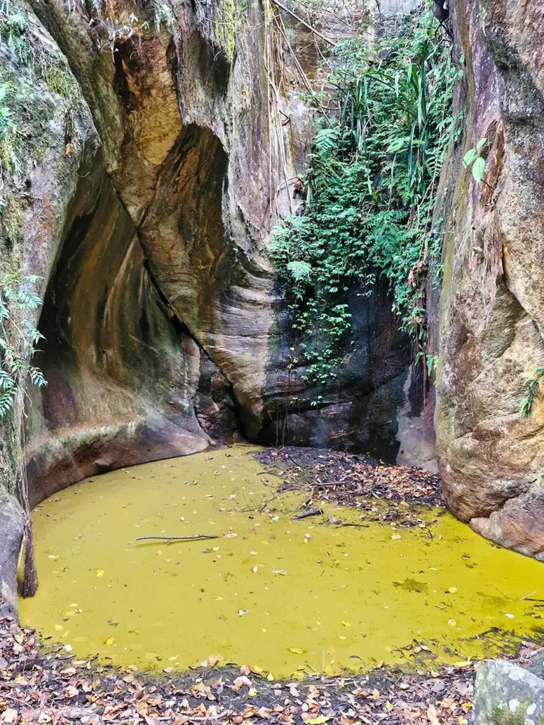 Sigey Pokthang Pakwa, the Golden Pond, a sacred natural pond enclosed by steep rock walls, is a hidden Yuksom sightseeing destination. 