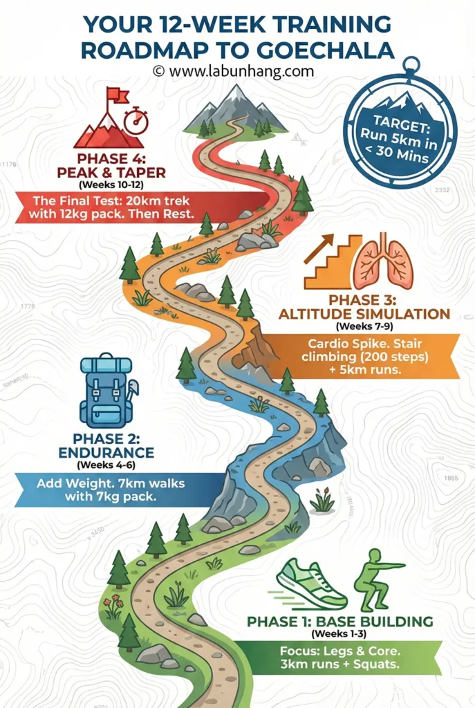 A 12-week training roadmap to overcome Goechala Trek Difficulty, progressing from "Base Building" (3km runs) to "Endurance" (7kg pack walks) and finally a "Peak & Taper" phase with a 20km trek carrying 12kg