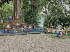 Norbugang Coronation Throne in Yuksom, West Sikkim, surrounded by colourful prayer flags and forest trees.